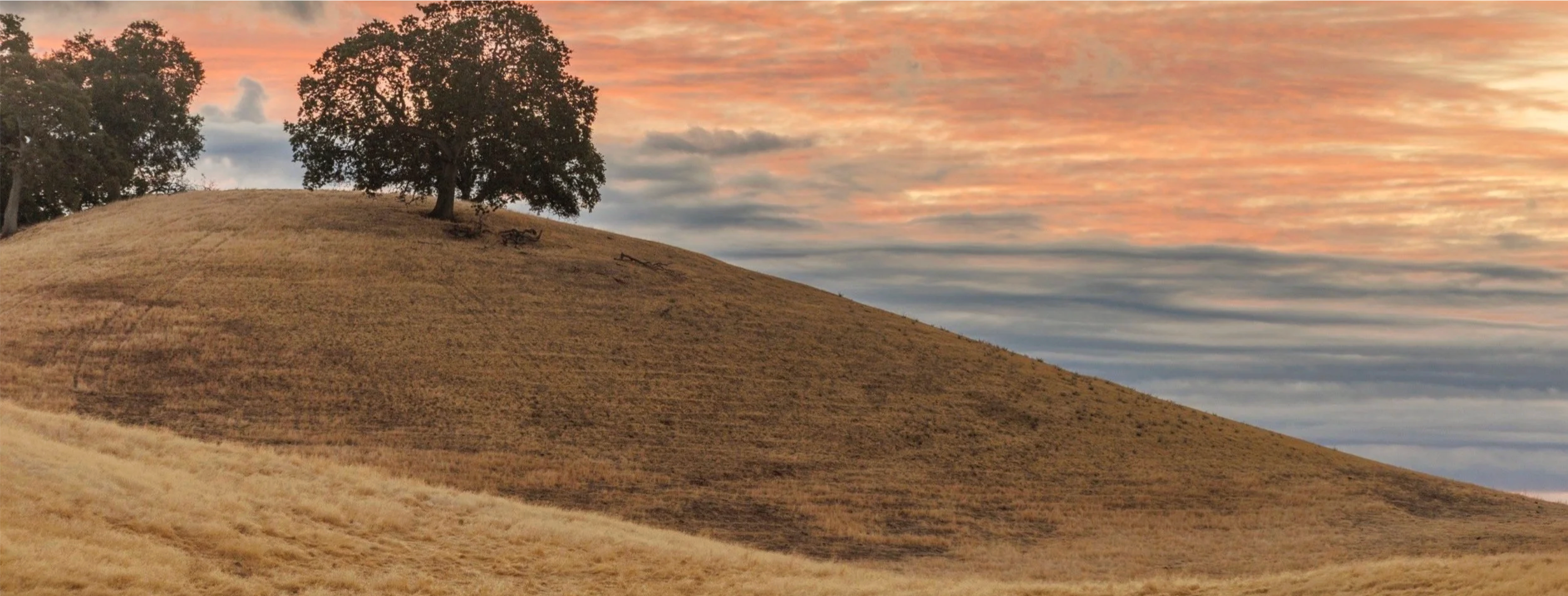 Seka Hills - Yoche Dehe Tribe