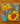 Desert Poppy Bloom Tile Trivet