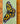 3x6 Butterfly