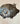Pig, Farm Animal Wall Decor 