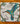Hummingbird with White Flowers Tile Trivet