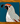Desert Bird Coaster