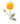 California Golden Poppy Brooch Pin