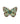 Four Spot Sailor Butterfly Brooch Pin