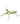 Green Mantid Brooch Pin