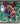 Small Rug 06